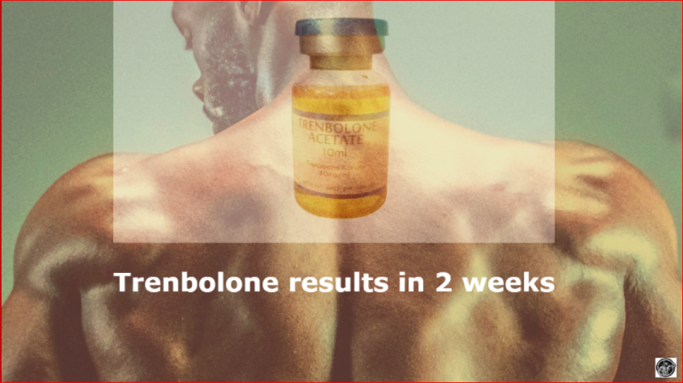 Trenbolone results in 2 weeks