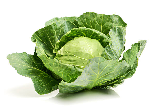 How to Relieve Gas from Cabbage: Tips for Digestive Comfort